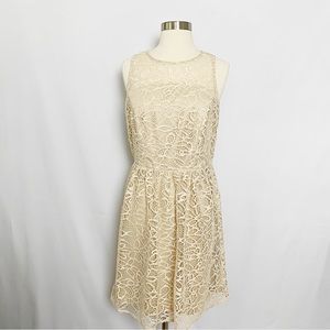 Dressbarn US Size 8 Back Zipper Closure Nude Lace Dress